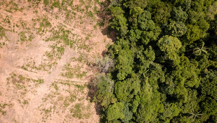 Research suggests that 3.6m hectares of tropical forest were cleared in 2018 – equivalent to the size of Belgium